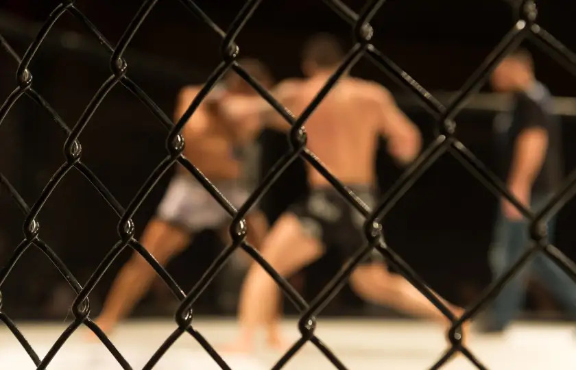 UFC 285 - Jones vs Gane
Sat Mar 04 2023 3:00 PM 
T-Mobile Arena, Las Vegas, Nevada
 | Stubhub NORAM