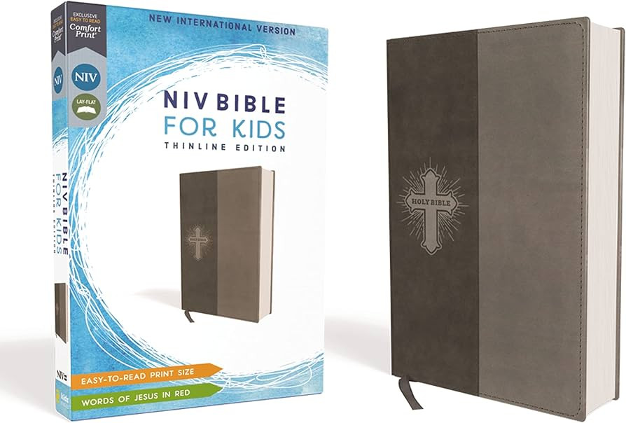 NIV, Bible for Kids, Leathersoft, Gray, Red Letter, Comfort Print: Thinline Edition | Amazon (US)
