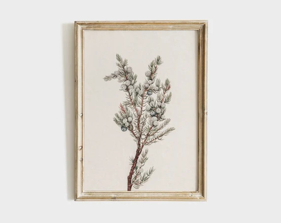 Winter Botanical Print  Vintage Print  Country Farmhouse Art | Etsy | Etsy (US)