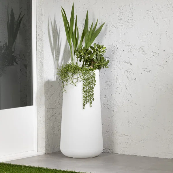 Dalya Pot Planter | Wayfair North America