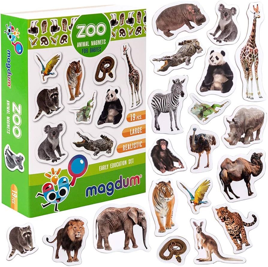 19 Fridge Magnets for Toddlers Zoo Photo Kids Magnets for Fridge - Toddler Magnets for Refrigerat... | Amazon (US)