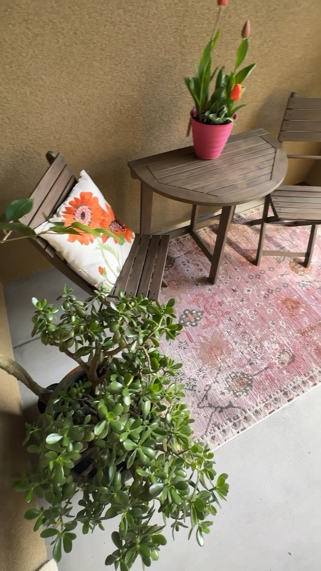 #Ad Spring is here and you can find all your spring outdoor essentials now @wayfair. Find beautiful planters, patio furniture, outdoor rugs and so much more.
#wayfairpartner #wishyouwerehere #outdoor #wayfair

#LTKSpringSale #LTKSaleAlert #LTKHome