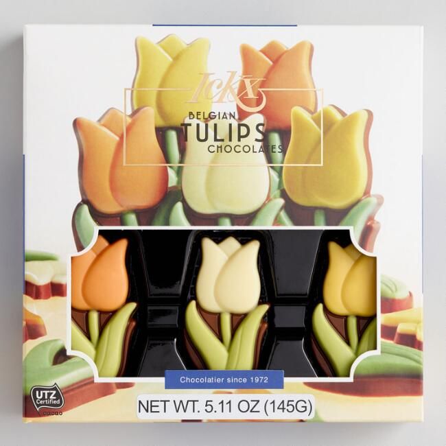 ICKX Tulip Chocolate Gift Box | World Market