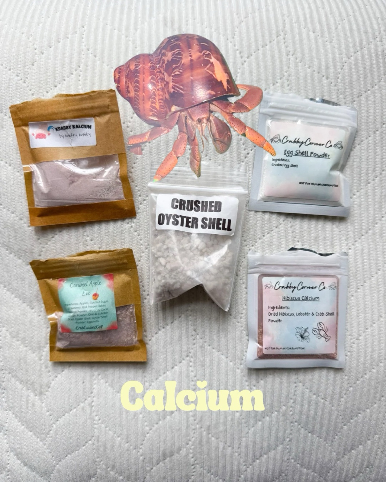 Calcium food for hermit crabs 