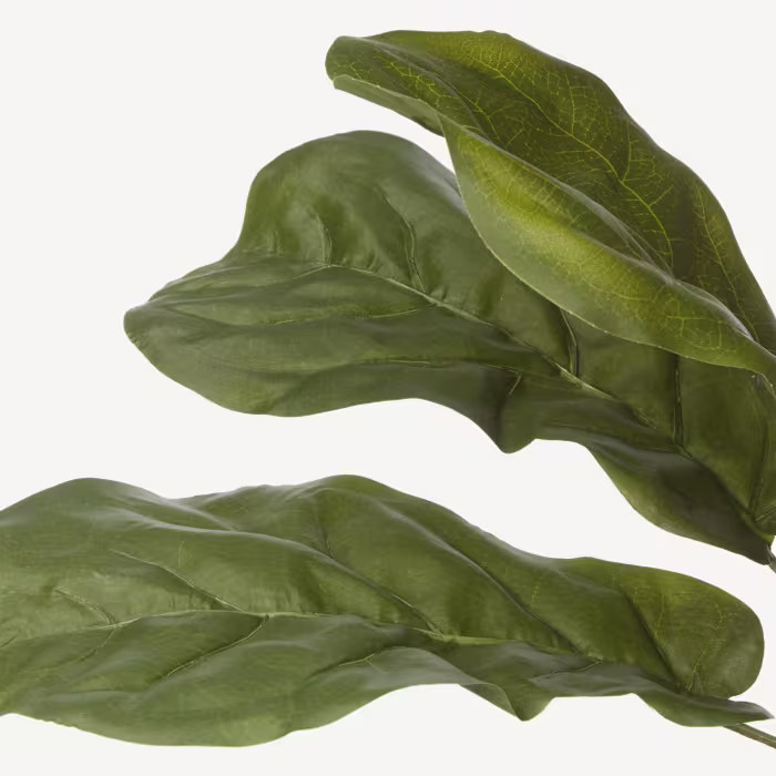 Large Fiddle-Leaf Fig Potted Floor Plant | Bouclair