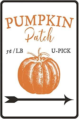 New Metal Sign Aluminum Sign Pumpkin Patch Sign Decor Easter Lover Fall Sign for Outdoor & Indoor... | Amazon (US)