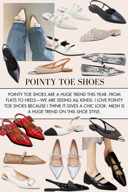Newsletter• Pointy Toe Shoes 

#LTKSeasonal #LTKstyletip #LTKshoecrush