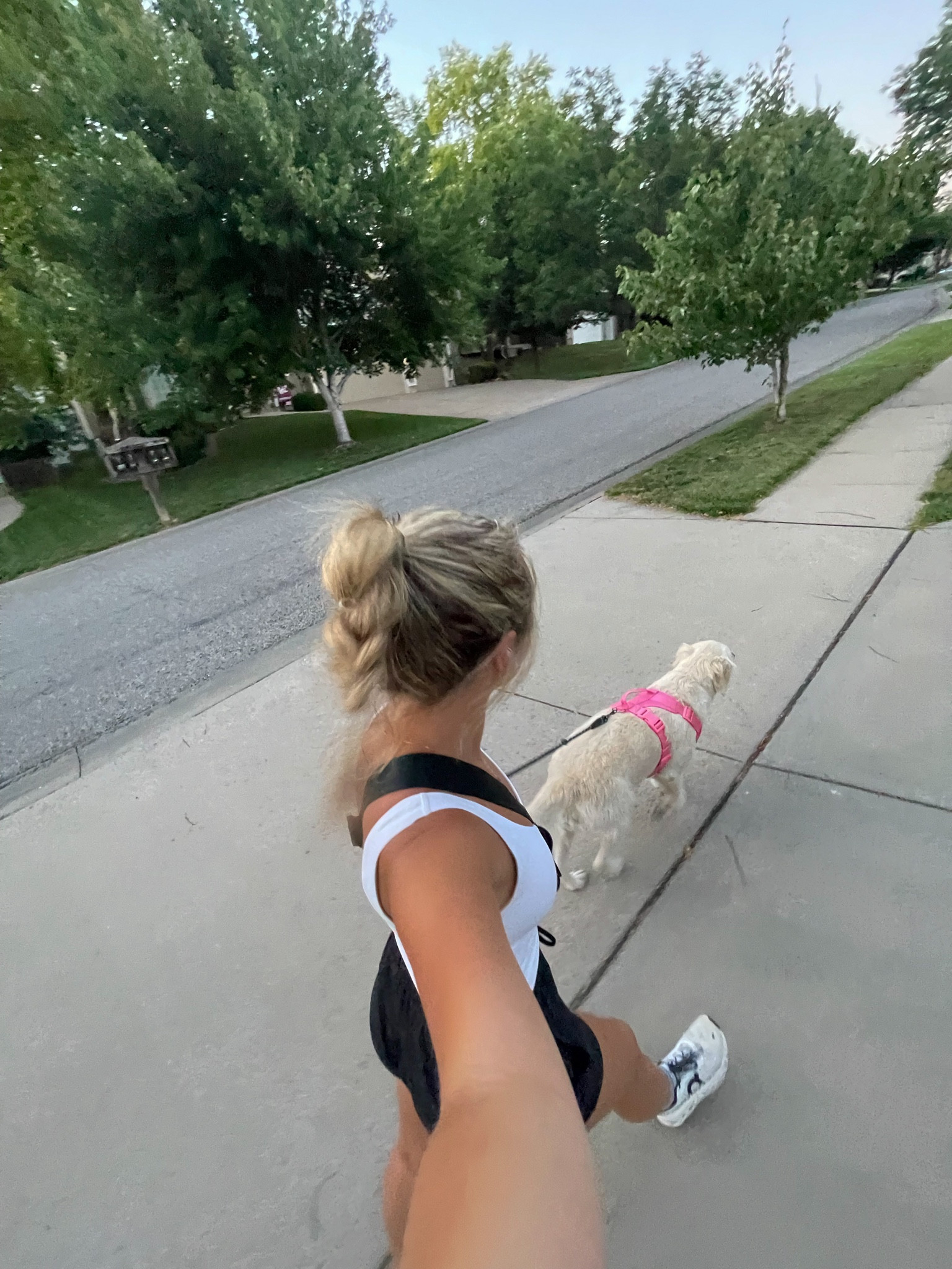 Top 4
Bottoms 4
Shoes 7

#LTKFind #LTKshoecrush #LTKfit