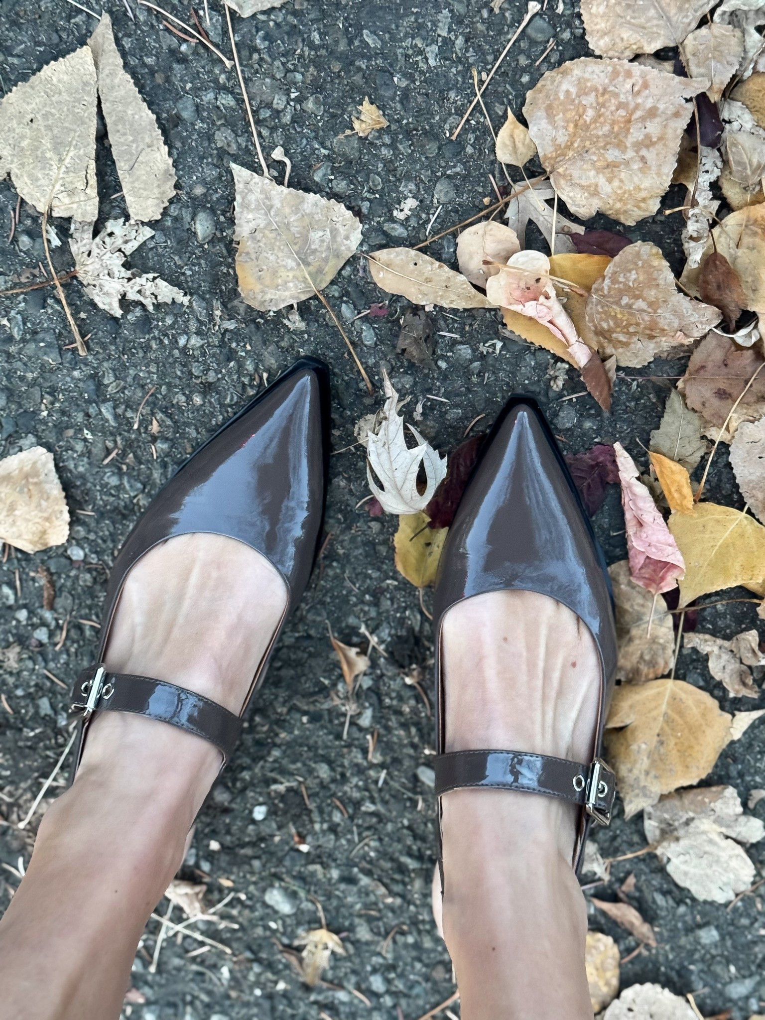 The most unique flats that are so comfortable 

#LTKShoeCrush #LTKWorkwear #LTKStyleTip