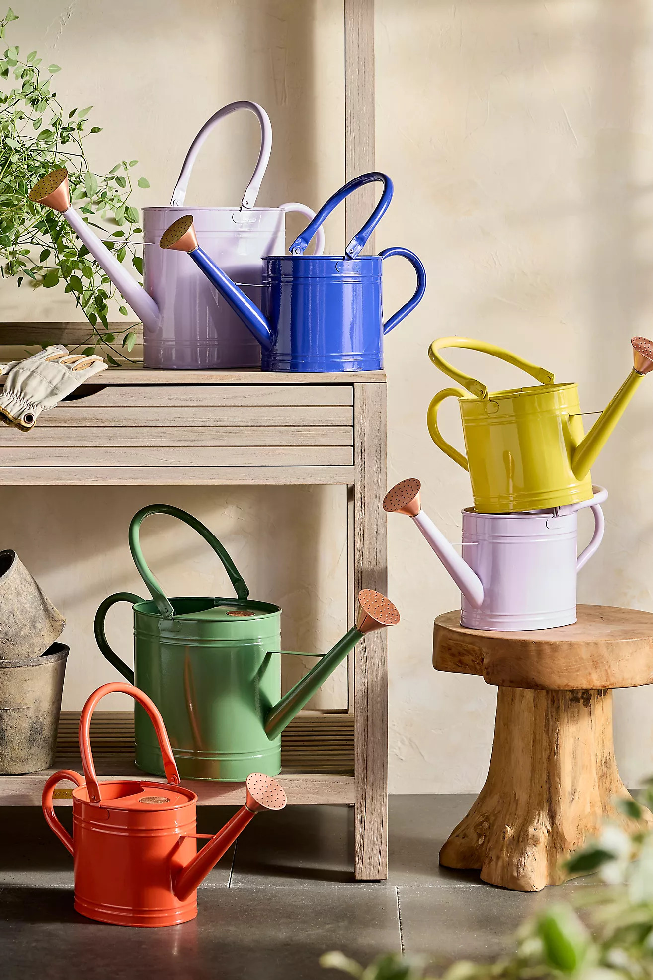 Enameled Iron 2 Liter Watering Can | Anthropologie (US)