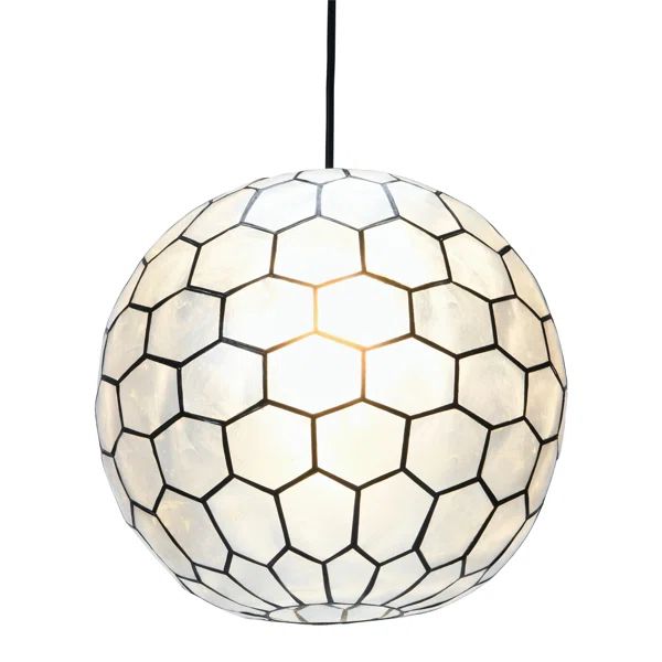 1 - Light Single Pendant | Wayfair North America