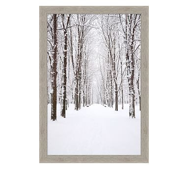 Winter's Path Framed Print | Pottery Barn (US)