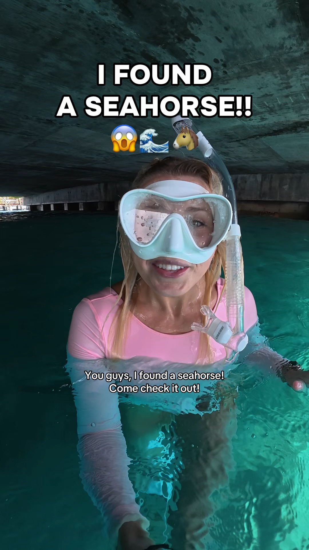 If you know what this song is from, you just get it🥹🫶🐴🌊

Suit: @coralswimx 💕 Use code Alyssa15 for 15% off!

#seahorse #freediving #ocean #florida #marinelife

#LTKTravel #LTKSwim #LTKActive