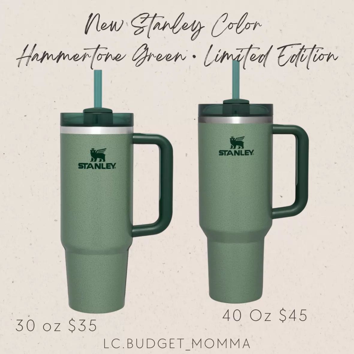 Limited Edition Alpine Green Stanley The Quencher H2.0 Flowstate