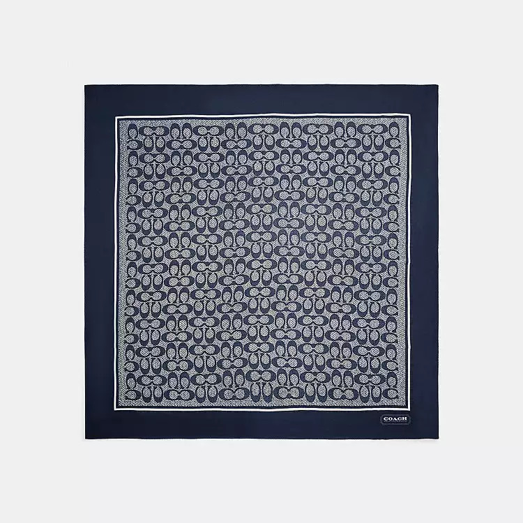 Textured Signature Print Silk Square Scarf | Coach (US)