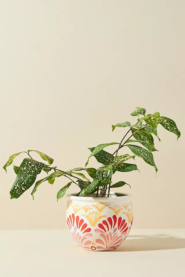 Prima Garden Pot | Anthropologie (US)