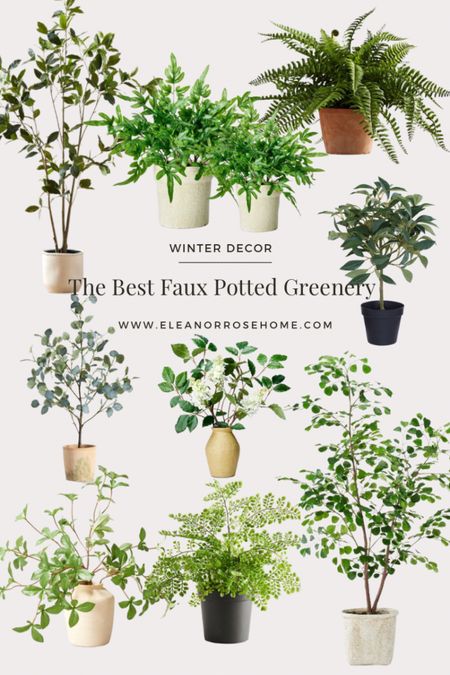 The best faux potted greenery for winter & spring. 

#LTKstyletip #LTKhome #LTKSeasonal