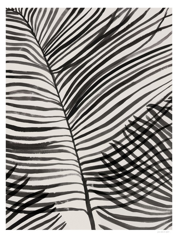 Palm Leaves | Artfully Walls