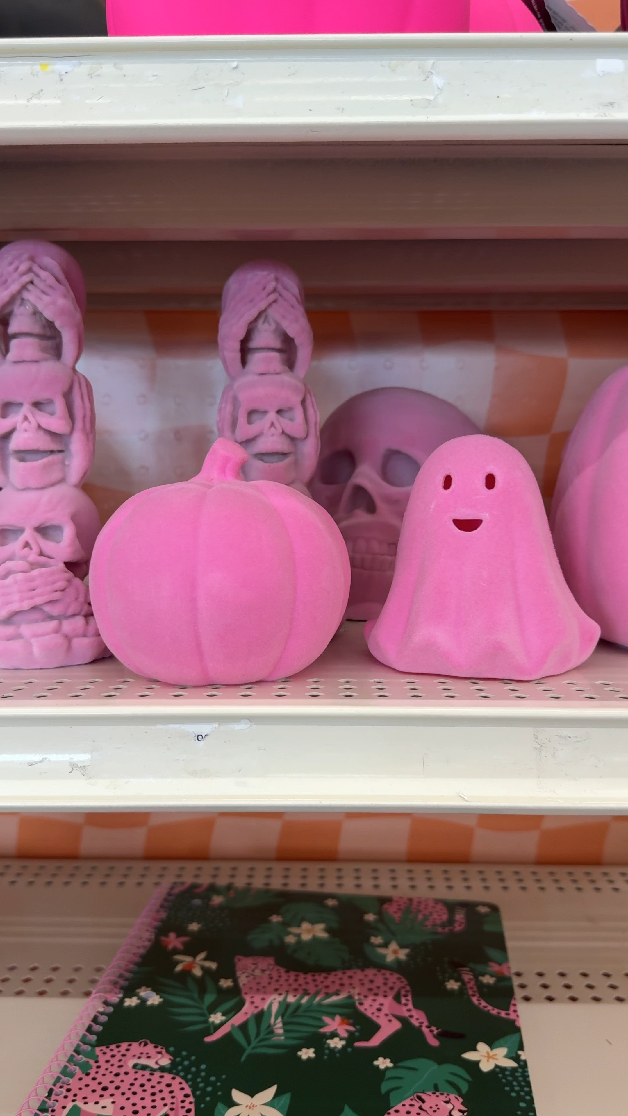 Small pink Halloween decor 


#LTKHome #LTKFindsUnder50 #LTKSeasonal