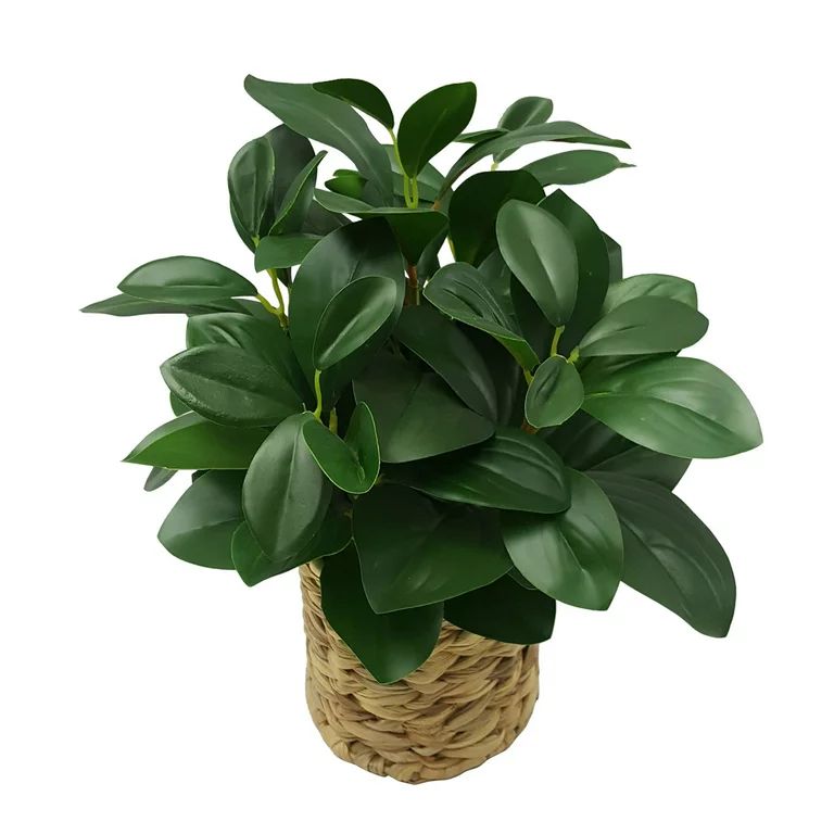 Better Homes & Gardens 13" Artificial Peperomia Plant in Natural Wicker Basket | Walmart (US)