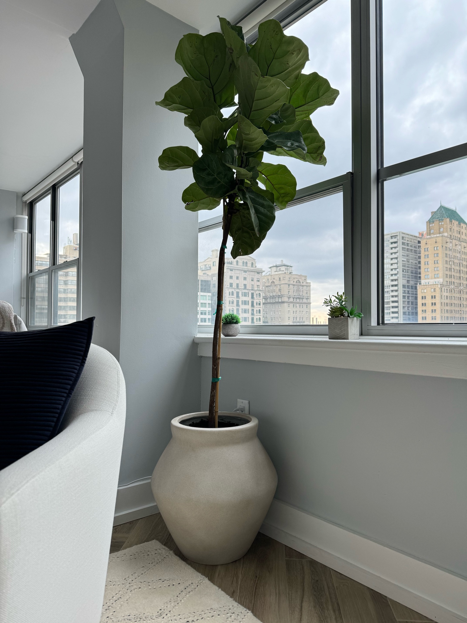 Obsessed with this planter 

#LTKSeasonal #LTKhome #LTKsalealert