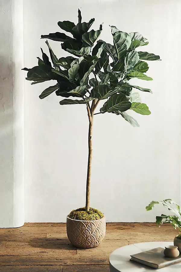 Faux Fiddle Leaf Fig, 7' | Anthropologie (US)