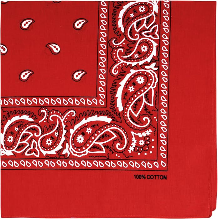 Raylarnia 100% Cotton Bandanas, 22" Paisley Bandana Headbands for Men Women | Amazon (US)
