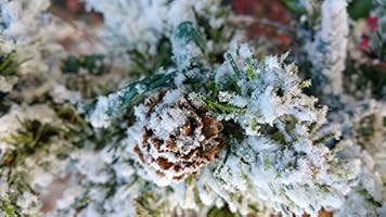 2LBS of the Original, Professional Grade Snow Flocking Powder ~ Sno-bond Flock with Opalescent Flake | Amazon (US)