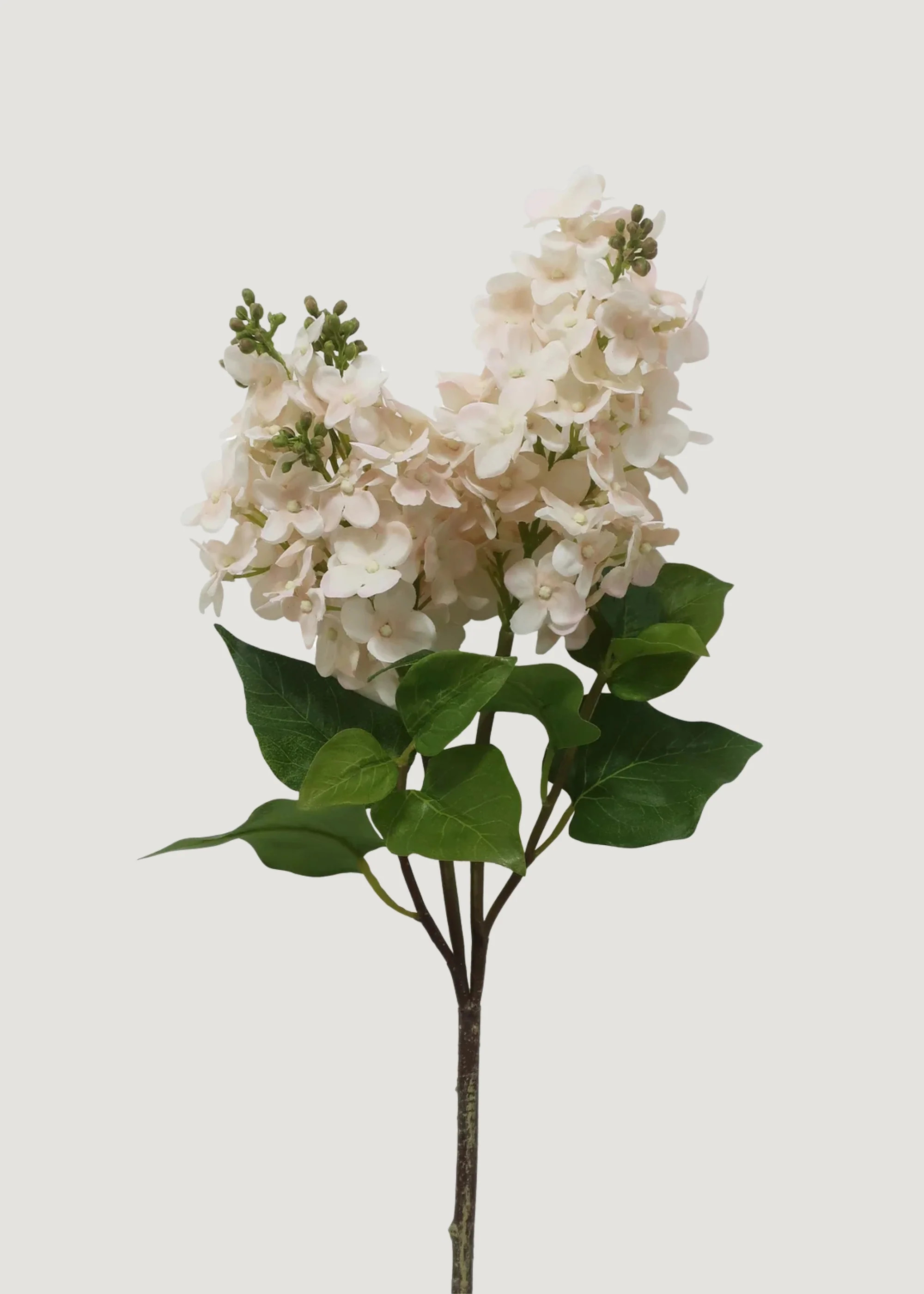 Cream Fake Real Touch Lilac Blooming Branch - 27.5" | Afloral