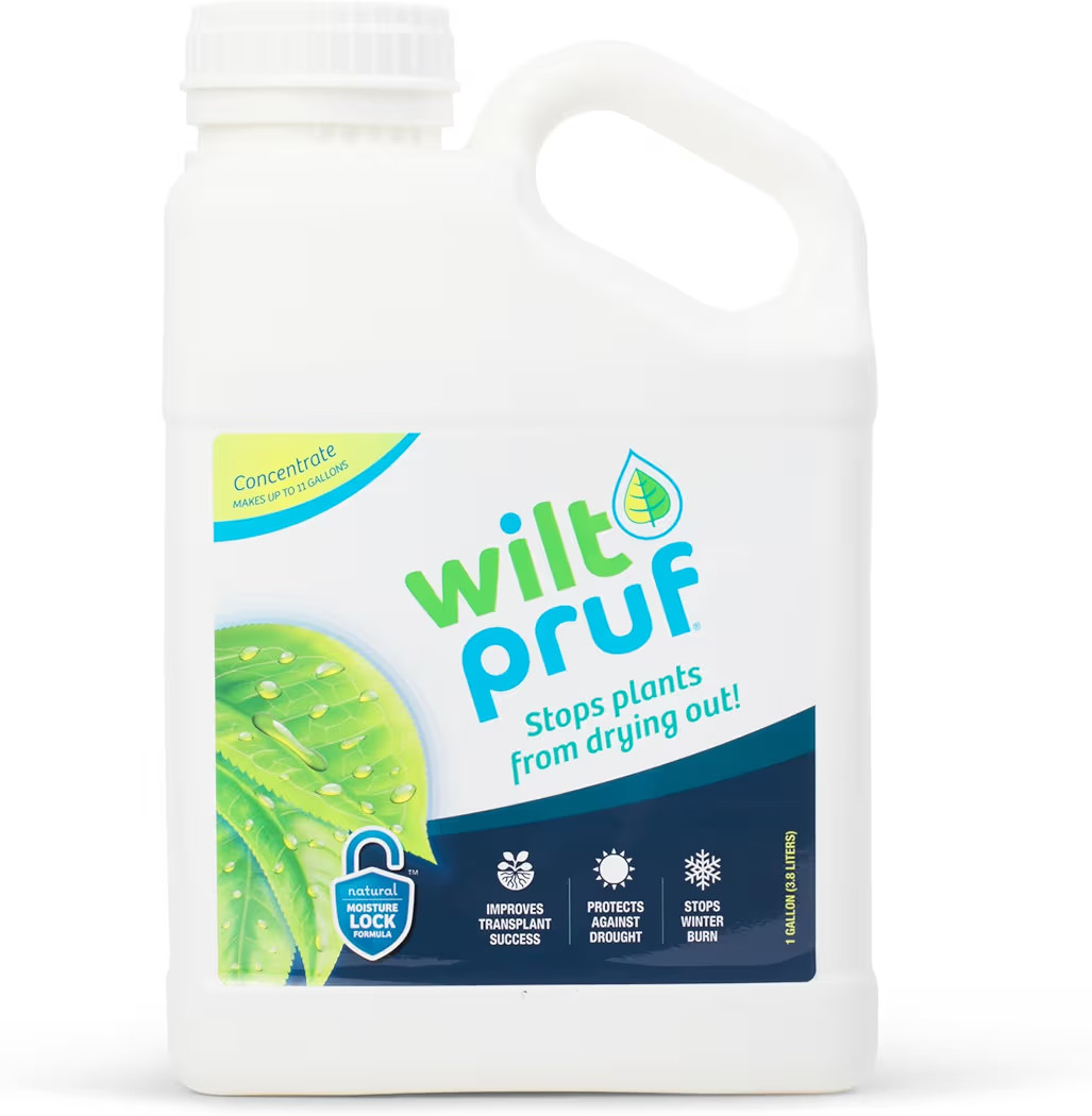 Wilt-Pruf® Concentrate | Protect Against Winter Damage, Drought, and Stress | Just Spray & Let D... | Amazon (US)