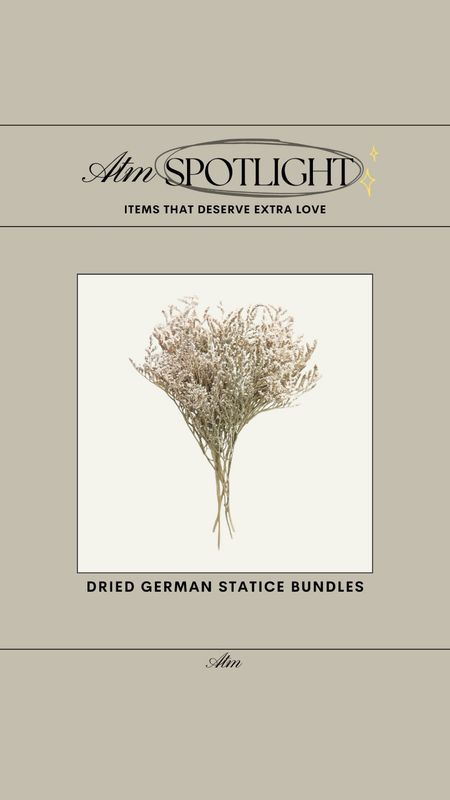 ATM Spotlight - Dried German Statice Bundles from Afloral // only $25 for 10!

spring stems, spring dried stems, afloral, faux stems, dried stems, spring home decor, product spotlight, trendy home finds 

#LTKFindsUnder50 #LTKStyleTip #LTKHome