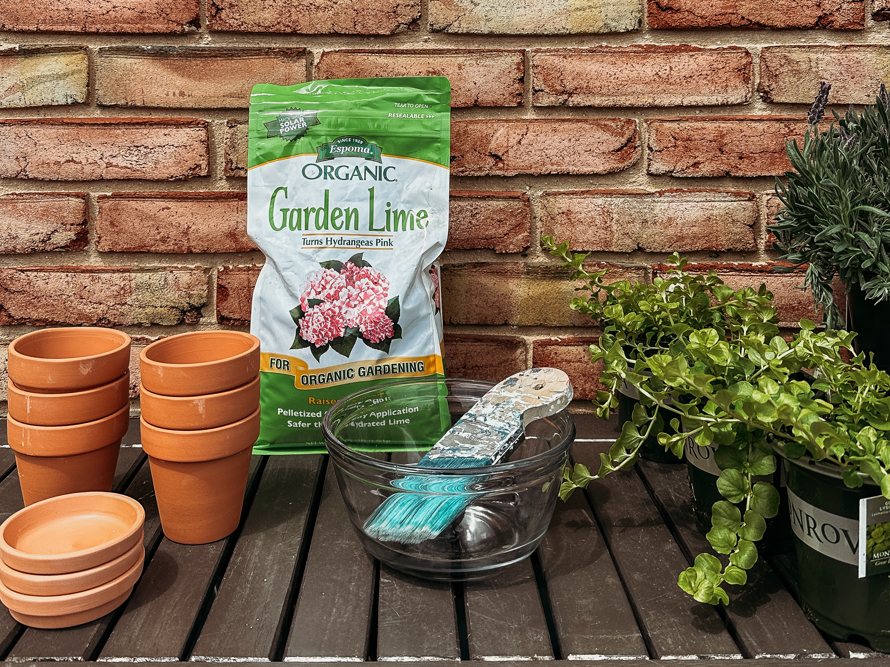 this easy DIY craft project takes regular terra cotta planter pots and transforms them into stunning aged pottery without waiting 50 years! Create a European Inspired garden with this simple, affordable project! 

 #LTKSeasonal #LTKHome #LTKFindsUnder50