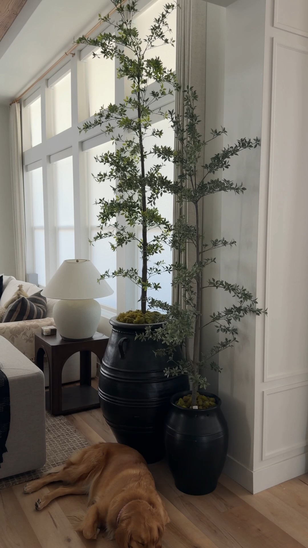 Easy way to elevate faux trees

#LTKHome