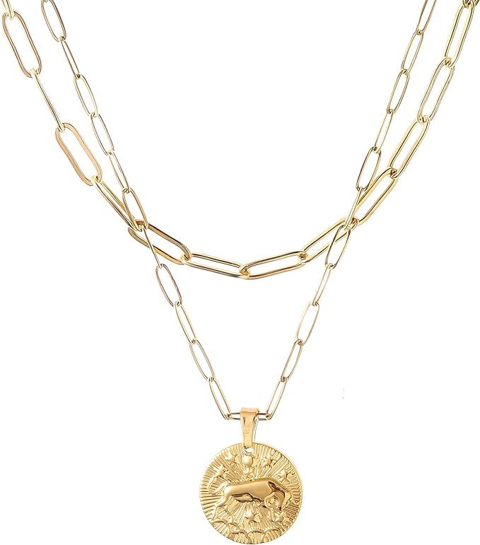 Gold Zodiac Sign Layered Necklaces for Women, 18K Gold Filled Paperclip Chain Necklace Dainty Coi... | Amazon (US)