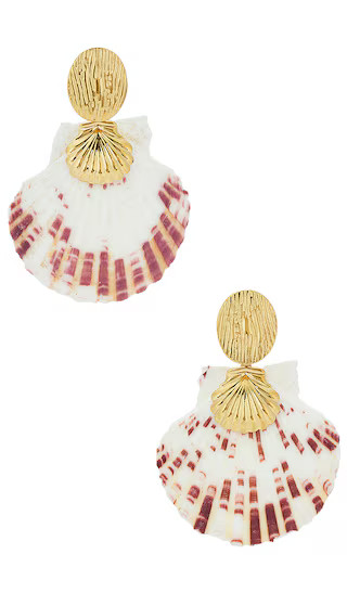Embellished Shell Earrings in Gold | Revolve Clothing (Global)