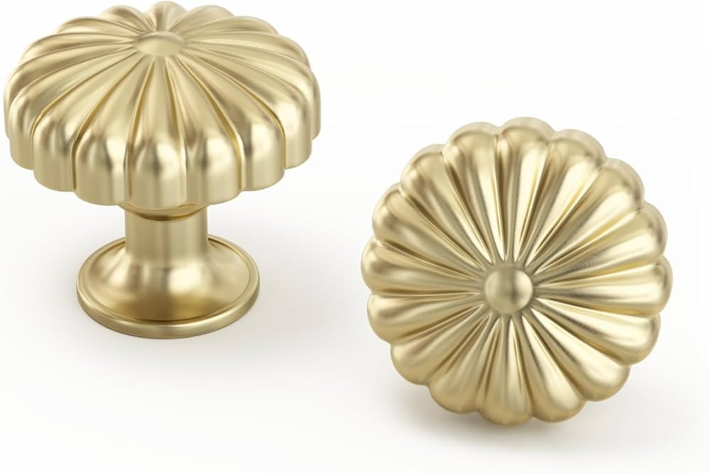 goldenwarm 10 Pack Gold Cabinet Knobs Dresser Knobs Gold Drawer Pulls and Knobs for Dresser Brush... | Amazon (US)