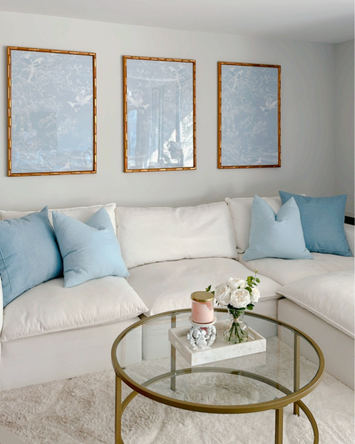 Living room decor & pillows🩵✨🫶🏼

#LTKHome #LTKFindsUnder100