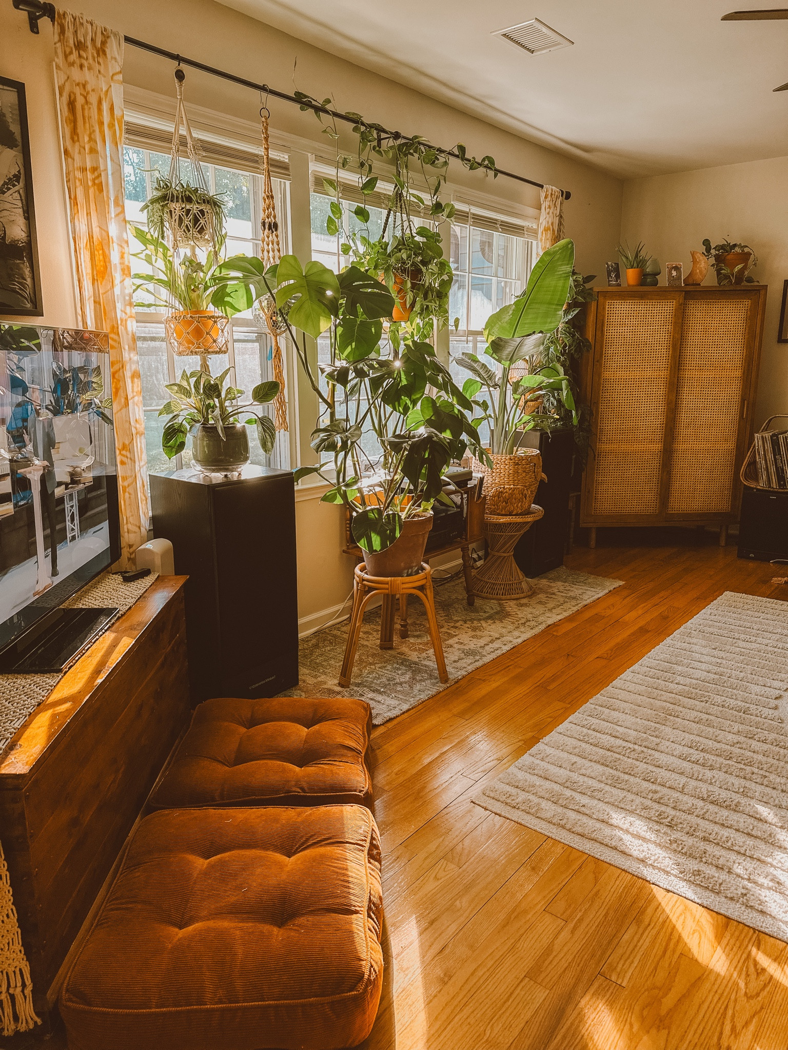 boho living room 🌿

#LTKGiftGuide #LTKhome 

#LTKU