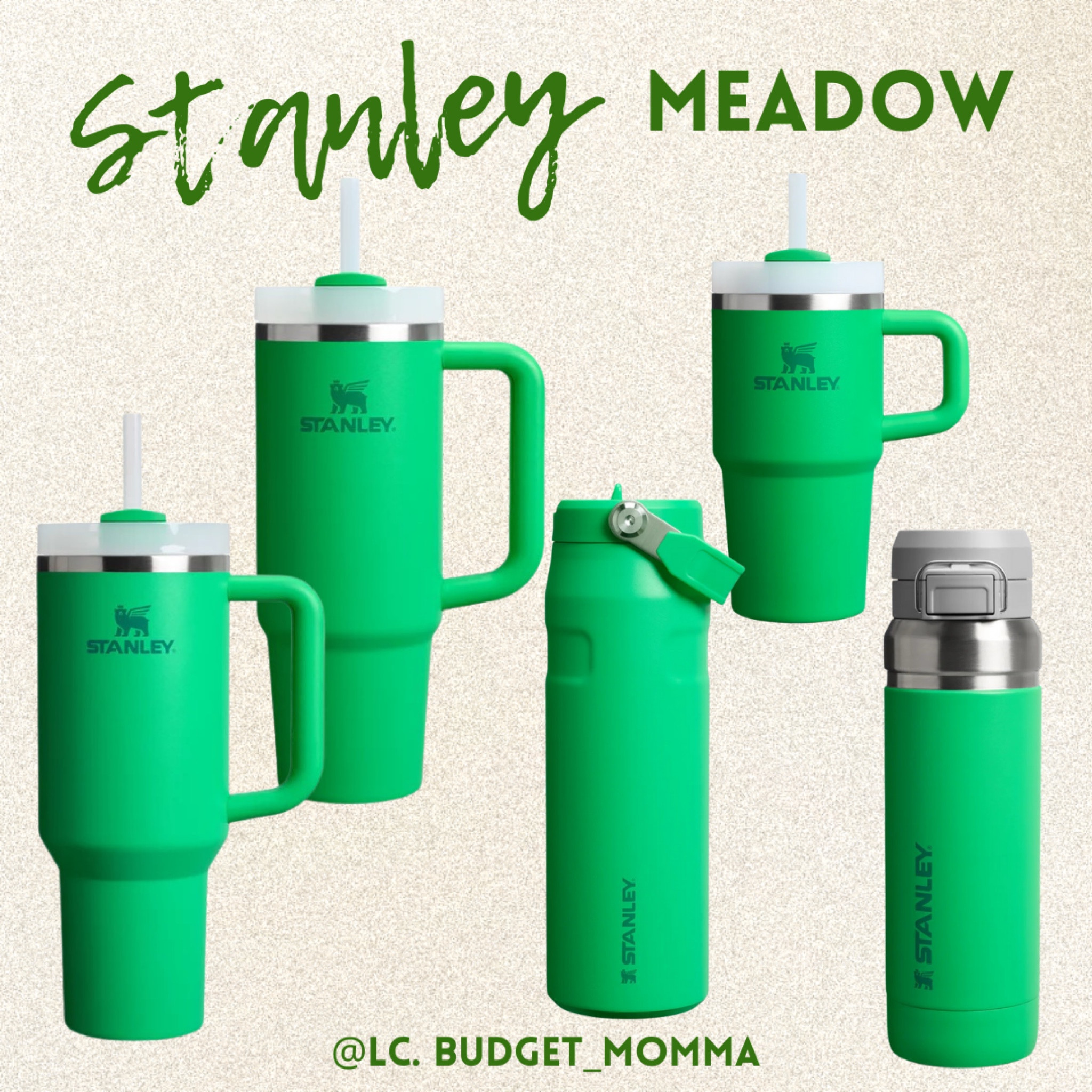 💚✨ STANLEY ✨💚 MEADOW 

#green #stanley #tumbler #toddler #waterbottle #handle #straw 

#LTKSeasonal #LTKFindsUnder100 #LTKFitness