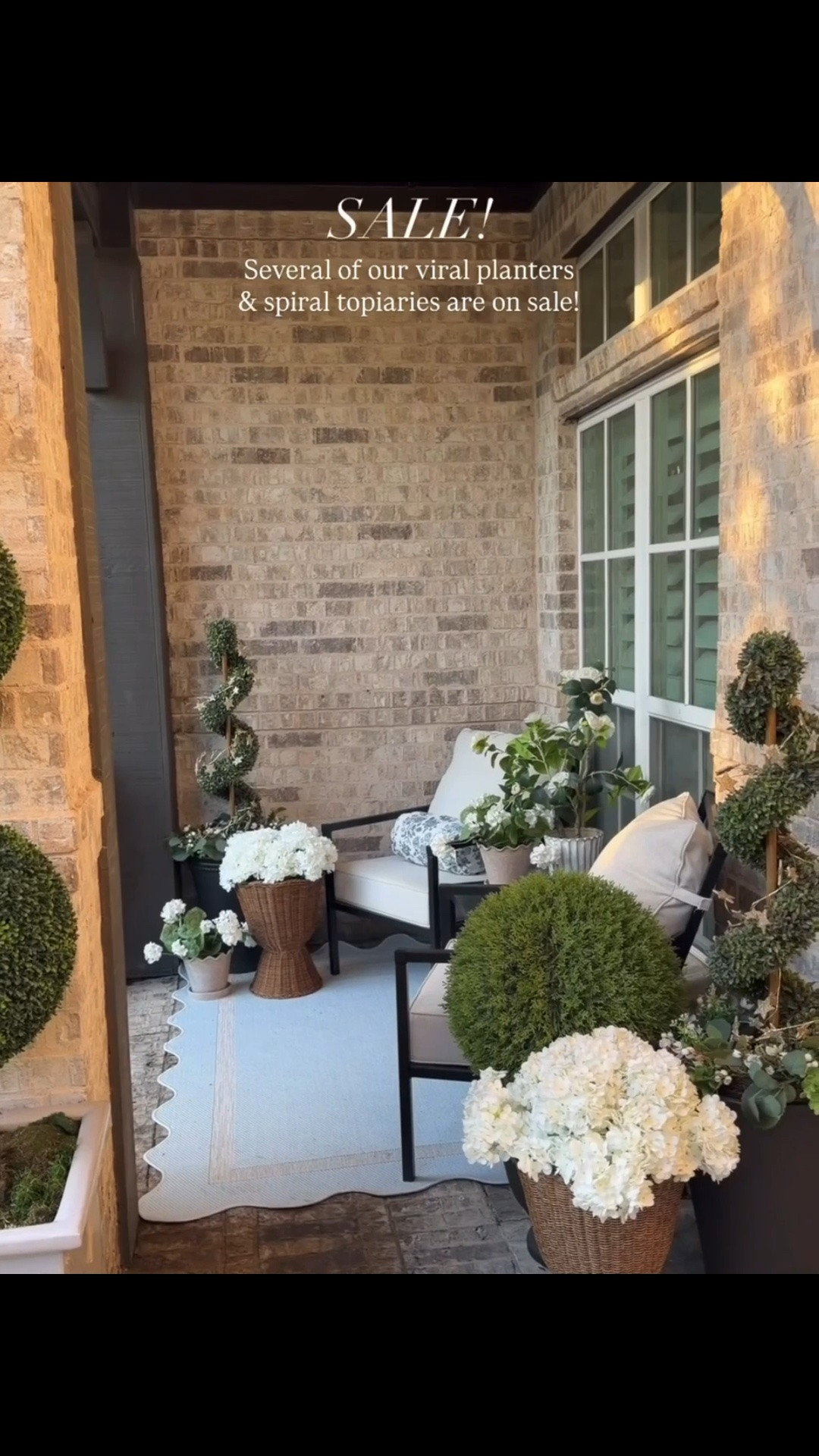Did you see?!? Some of our stunning viral topiaries are on sale!

#LTKSeasonal #LTKHome