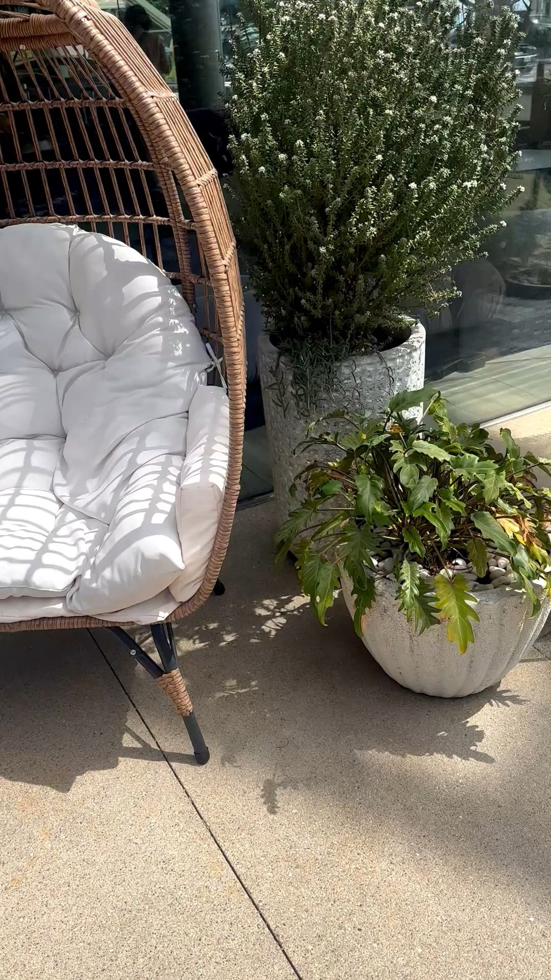 Turn your backyard into the place you never want to leave ✨
This oversized outdoor lounge gives that cozy, cocooned, resort-style feel—modern, chic, and unbelievably inviting. Just add a lumbar pillow, your favorite drink, and suddenly your backyard feels like a private getaway.

Memorial Day Sale is the perfect time to refresh your outdoor lounge setup.

#outdoorlounge #outdoorchair #backyardinspo #patioliving #outdoorliving #memorialdaysale #lumbarpillow #outdoordecor #resortstyle #cozychic #backyardrefresh #patiofurniture #ltkhome

#LTKdayinmylife #LTKHome #LTKSaleAlert