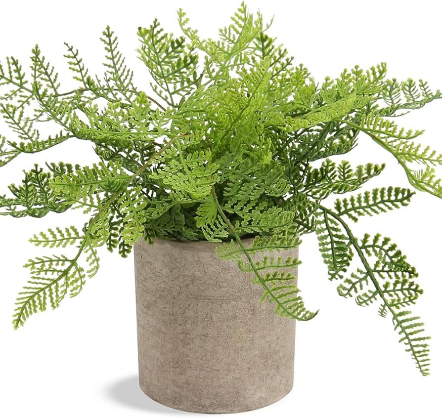 Small Fake Plant Potted Plants Artificial Decor Silk Ferns Plant Faux Plants in Pots for Home Liv... | Amazon (US)