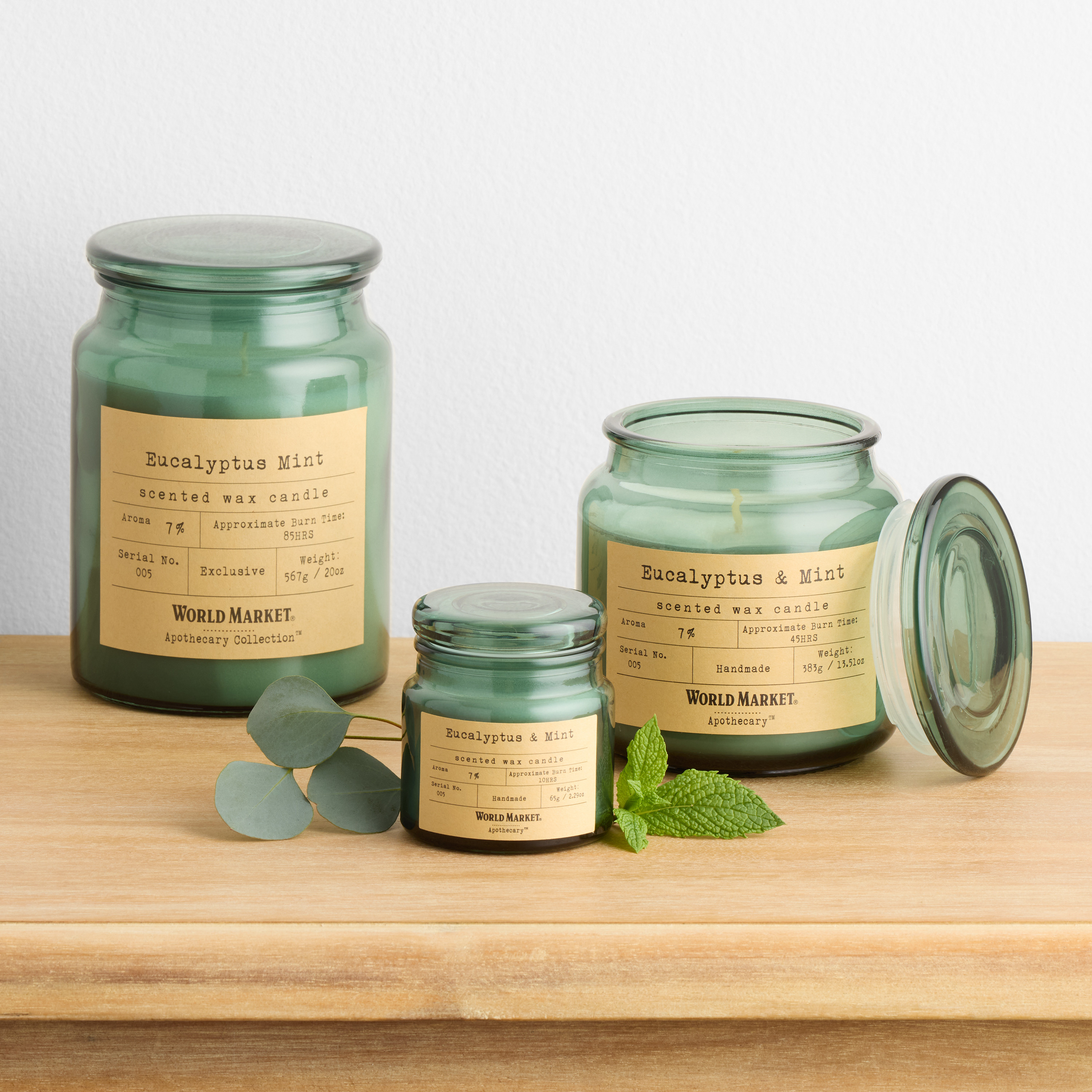 Apothecary Eucalyptus & Mint Scented Candle | World Market
