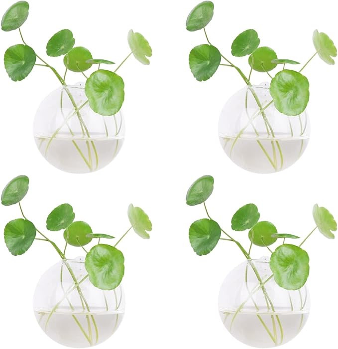 Dubee 4 Pcs Glass Wall Hanging Planter Terrariums,Hanging Wall Vases for Plants Indoor,Glass Plan... | Amazon (US)