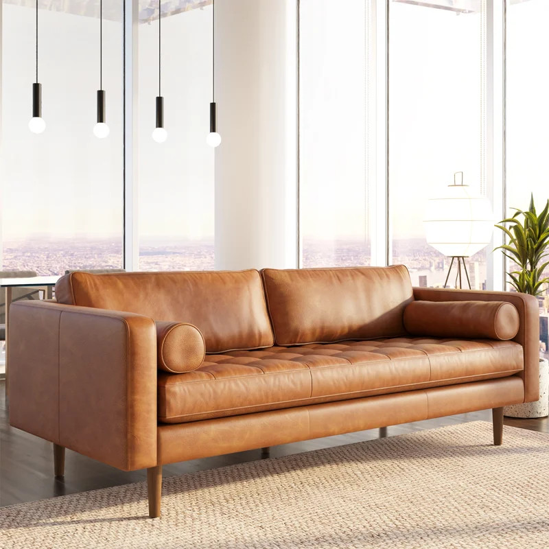 ByPoly & Bark | Wayfair North America