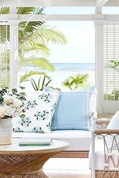 Hofdeco Premium Coastal Patio Indoor Outdoor Throw Pillow Cover Only, 20"x20" Water Repellent for... | Amazon (US)
