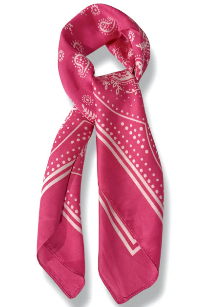 Back Of My Mind Fuchsia Paisley Pattern Scarf | The Willow Tree