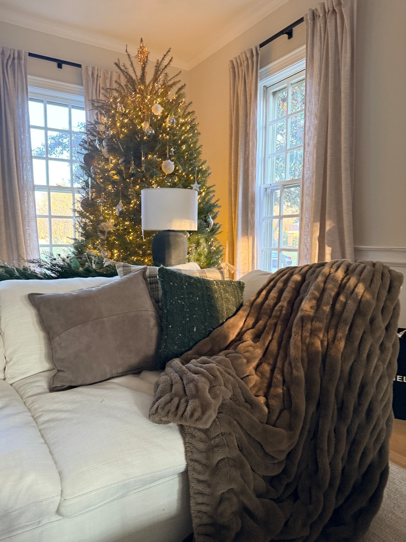 The most comfortable throw blanket you can imagine ✨

#LTKGiftGuide #LTKU #LTKHome