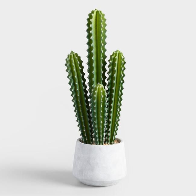 Faux Potted Senita Cactus | World Market