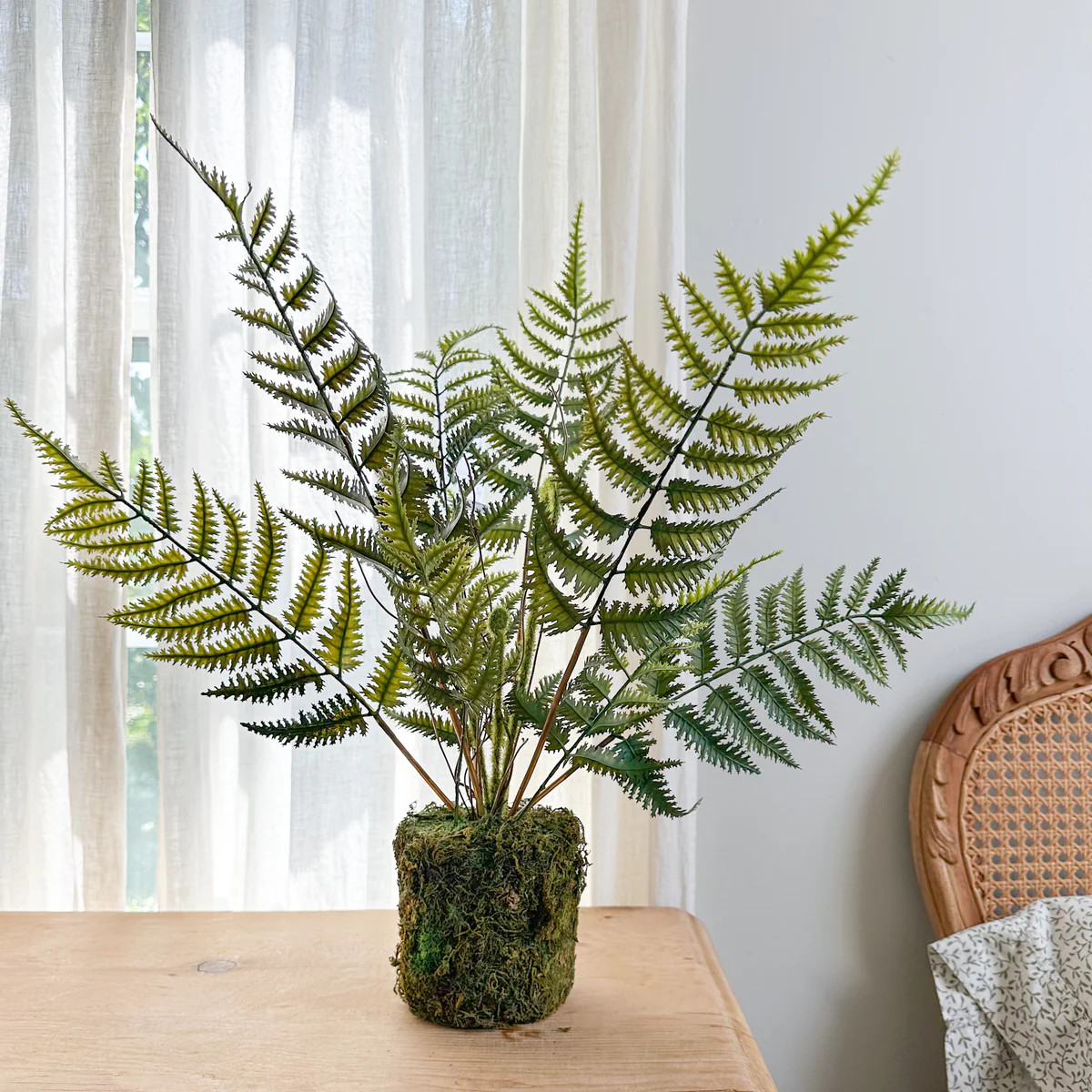 Abundant Lace Fern Drop In | Purple Rose & Co